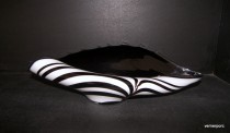 Mušle ZEBRA  45cm.